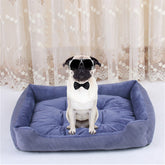 Cheeky Pup™ Large Comfort Dog Bed